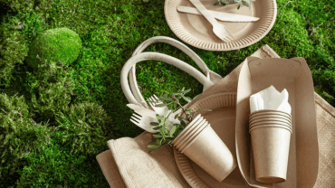 zero waste lifestyle