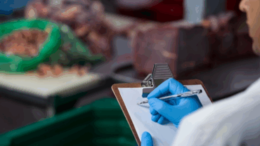 food safety standards