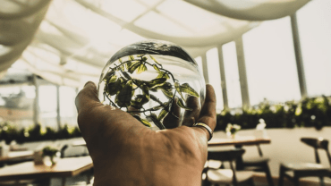 sustainability expo