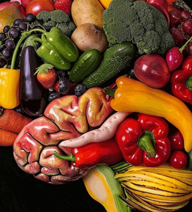 brain-food expo workshops