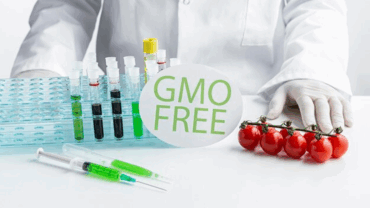 food certification