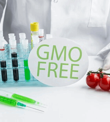 food certification