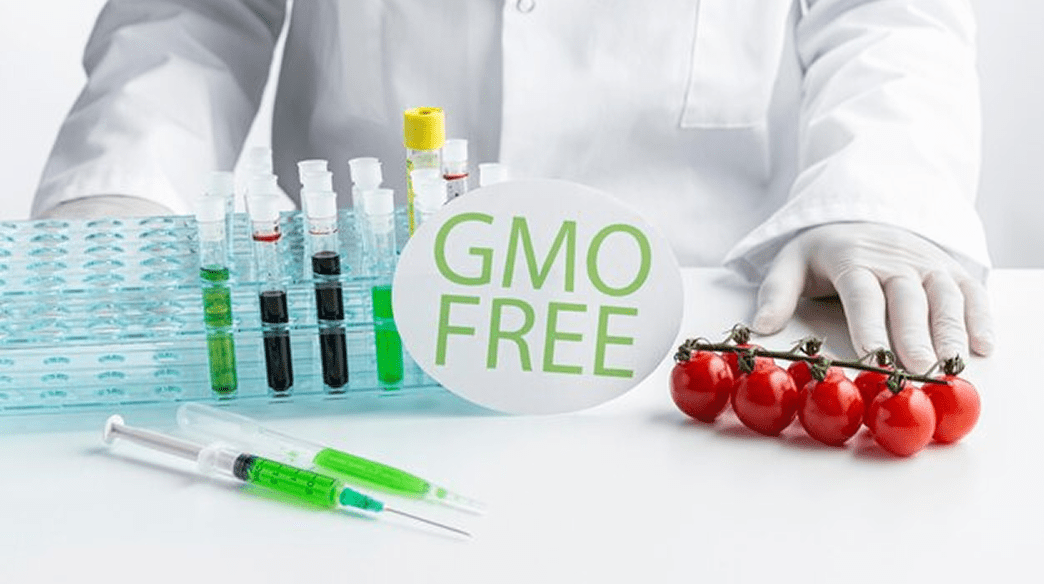 food certification